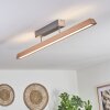 Llevallol Plafondlamp LED Natuurlijke kleuren, Nikkel mat, 1-licht