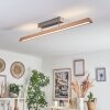 Llevallol Plafondlamp LED Natuurlijke kleuren, Nikkel mat, 1-licht