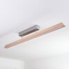 Llevallol Plafondlamp LED Natuurlijke kleuren, Nikkel mat, 1-licht
