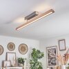 Llevallol Plafondlamp LED Natuurlijke kleuren, Nikkel mat, 1-licht
