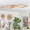 Surisultana Plafondlamp LED Natuurlijke kleuren, 2-lichts