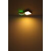 Globo JACKY Plafondlamp LED houtlook, Zwart, 2-lichts, Afstandsbediening, Kleurwisselaar