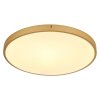 Globo TIBEY Plafondpaneel LED Messing, 1-licht