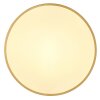 Globo TIBEY Plafondpaneel LED Messing, 1-licht