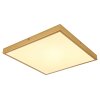 Globo TIBEY Plafondpaneel LED Messing, 1-licht