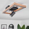 Fairburn Plafondlamp LED Bruin, houtlook, Zwart, 2-lichts
