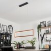 Fairburn Hanglamp LED Zwart, 1-licht