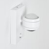 Borlo Buiten muurverlichting LED Wit, 2-lichts, Bewegingsmelder