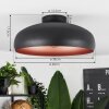 Guayo Plafondlamp Zwart, 1-licht