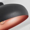 Guayo Plafondlamp Zwart, 1-licht