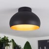 Guayo Plafondlamp Zwart, 1-licht