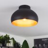 Guayo Plafondlamp Zwart, 1-licht