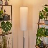 Coquimbito Staande lamp LED Zwart, 1-licht
