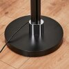 Coquimbito Staande lamp LED Zwart, 1-licht