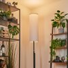 Coquimbito Staande lamp LED Zwart, 1-licht