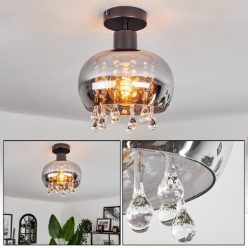 Boudry Plafondlamp Zwart, 1-licht