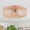Wemude Plafondlamp Beige, Zwart, 1-licht