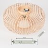 Wemude Plafondlamp Beige, Zwart, 1-licht