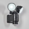 Anyarhwi Buiten muurverlichting LED Zwart, 2-lichts, Bewegingsmelder
