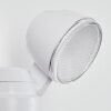 Anyarhwi Buiten muurverlichting LED Wit, 2-lichts, Bewegingsmelder
