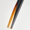 Rolle Hanger LED Zwart, 1-licht