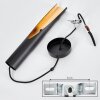 Rolle Hanger LED Zwart, 1-licht