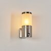 Tolsona Buiten muurverlichting Nikkel mat, 1-licht, Bewegingsmelder