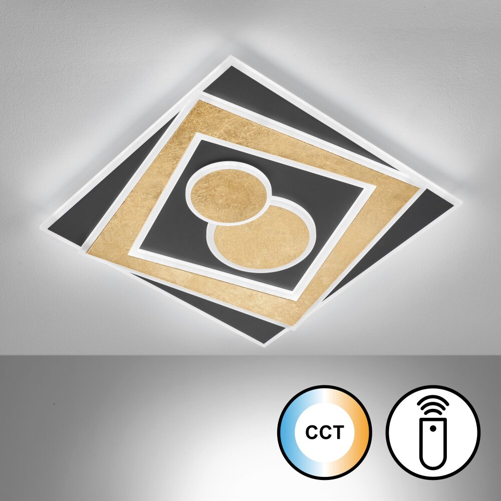 Fischer & Honsel Ratio Plafondlamp LED Zwart, 1-licht, Afstandsbediening main product photo