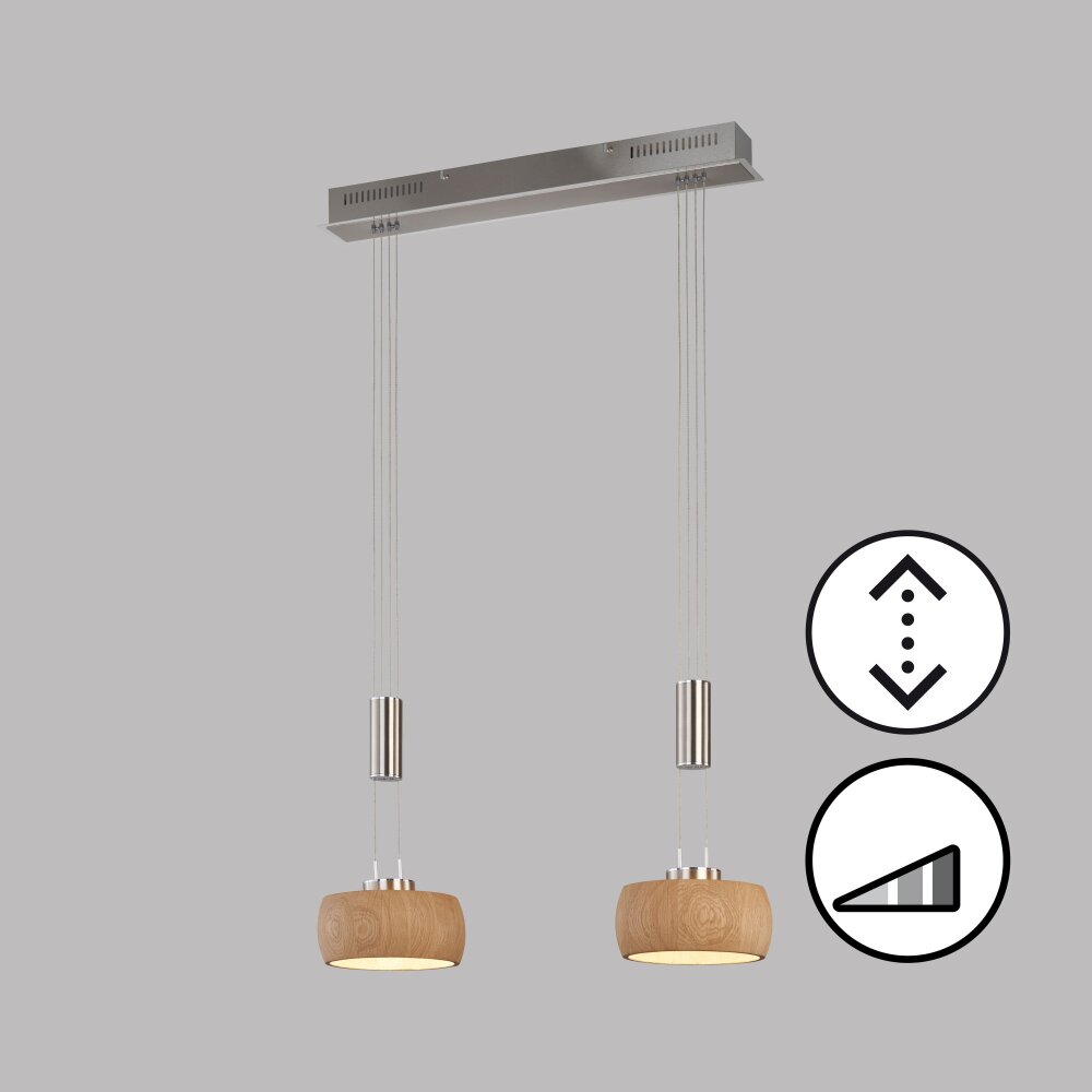 Fischer & Honsel SHINEWOOD Hanglamp LED Nikkel mat, 2-lichts main product photo