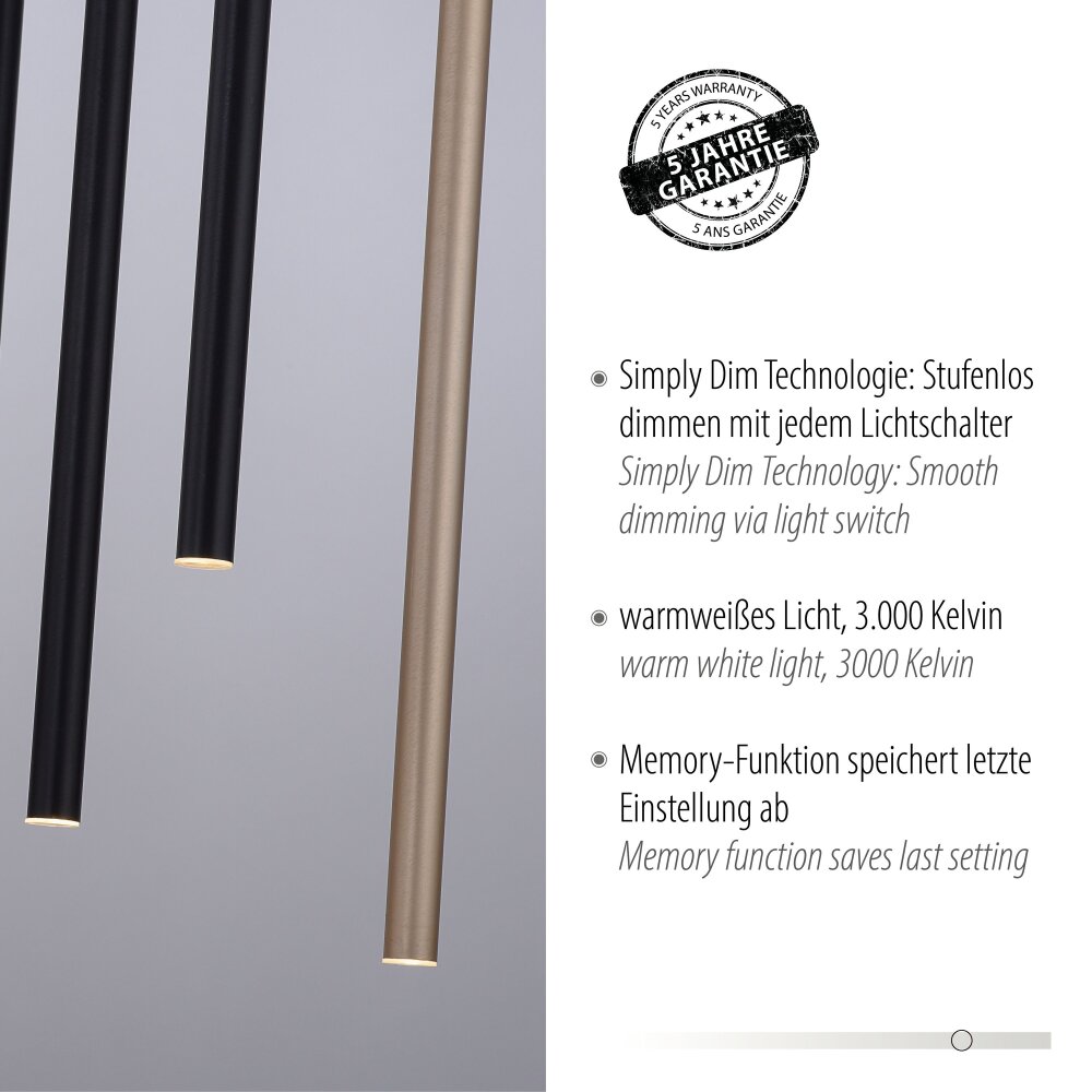 Paul Neuhaus FLUTE Hanglamp LED Zwart, 10-lichts