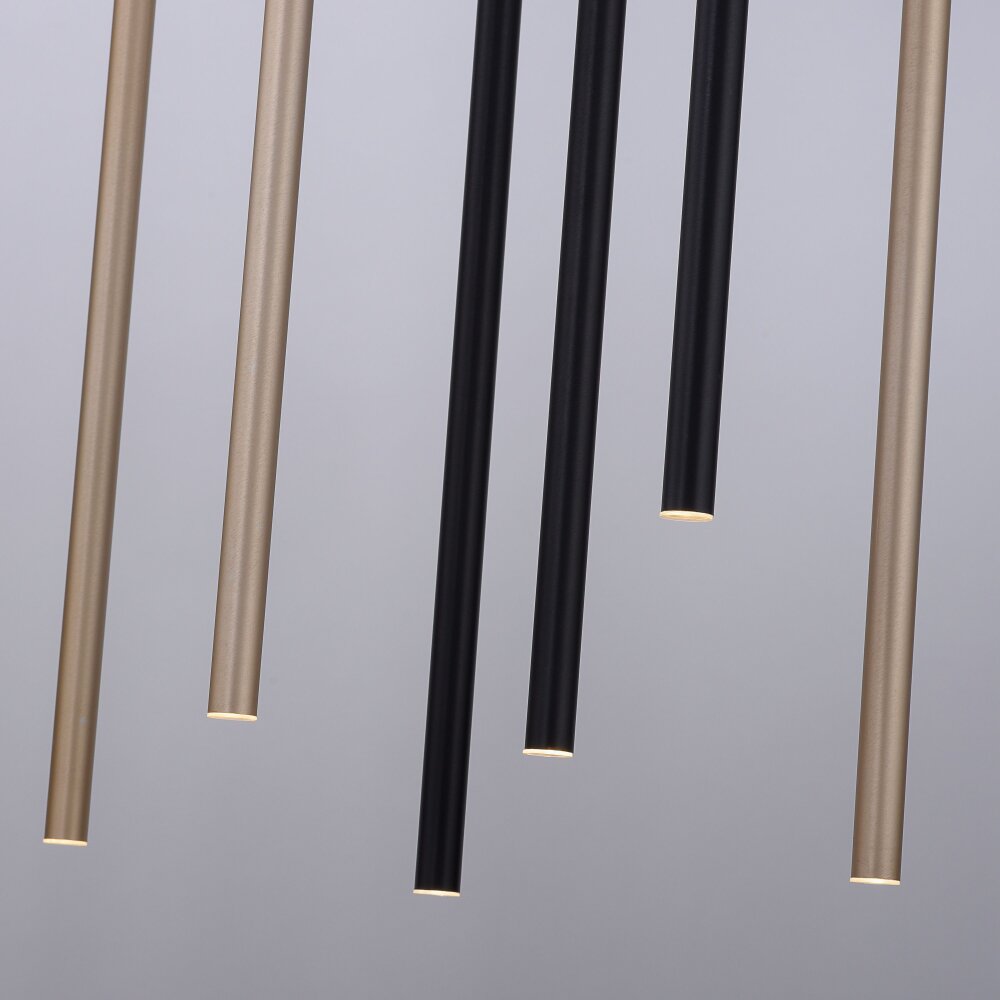 Paul Neuhaus FLUTE Hanglamp LED Zwart, 10-lichts