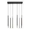 Paul Neuhaus FLUTE Hanglamp LED Zwart, 10-lichts