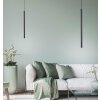 Paul Neuhaus FLUTE Hanglamp LED Zwart, 1-licht