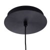 Paul Neuhaus FLUTE Hanglamp LED Zwart, 1-licht