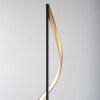 Paul Neuhaus QSWING Staande lamp LED Antraciet, Goud, 1-licht, Afstandsbediening