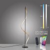 Paul Neuhaus QSWING Staande lamp LED Antraciet, Goud, 1-licht, Afstandsbediening