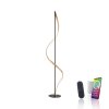 Paul Neuhaus QSWING Staande lamp LED Antraciet, Goud, 1-licht, Afstandsbediening