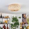 Bauro Plafondlamp Messing, Natuurlijke kleuren, 3-lichts