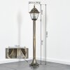 Naofe Padverlichting Bruin, Goud, 1-licht