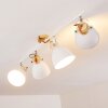 Banjul Plafondlamp Hout licht, Wit, 4-lichts