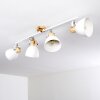 Banjul Plafondlamp Hout licht, Wit, 4-lichts