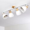 Banjul Plafondlamp Hout licht, Wit, 4-lichts