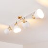Banjul Plafondlamp Hout licht, Wit, 4-lichts