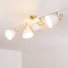 Banjul Plafondlamp Hout licht, Wit, 4-lichts