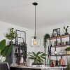 Lauden Hanger Glas 25cm Duidelijk, 1-licht