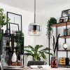 Lauden Hanger Glas 20cm Chroom, Duidelijk, Rookkleurig, 1-licht