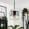 Lauden Hanger Glas 20cm Chroom, Duidelijk, Rookkleurig, 1-licht