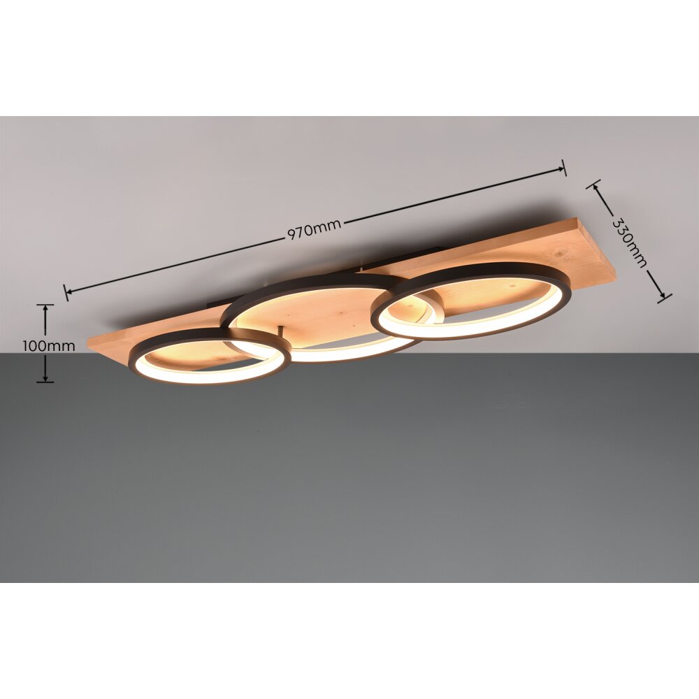 Trio Barca Plafondlamp LED Natuurlijke kleuren, Zwart, 1-licht