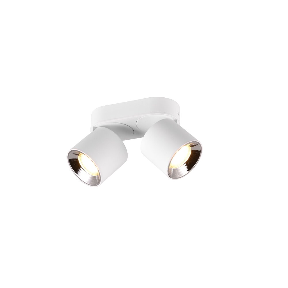Trio GUAYANA plafondlamp Wit, 2-lichts main product photo