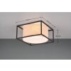 Trio Ross Plafondlamp Zwart, 2-lichts